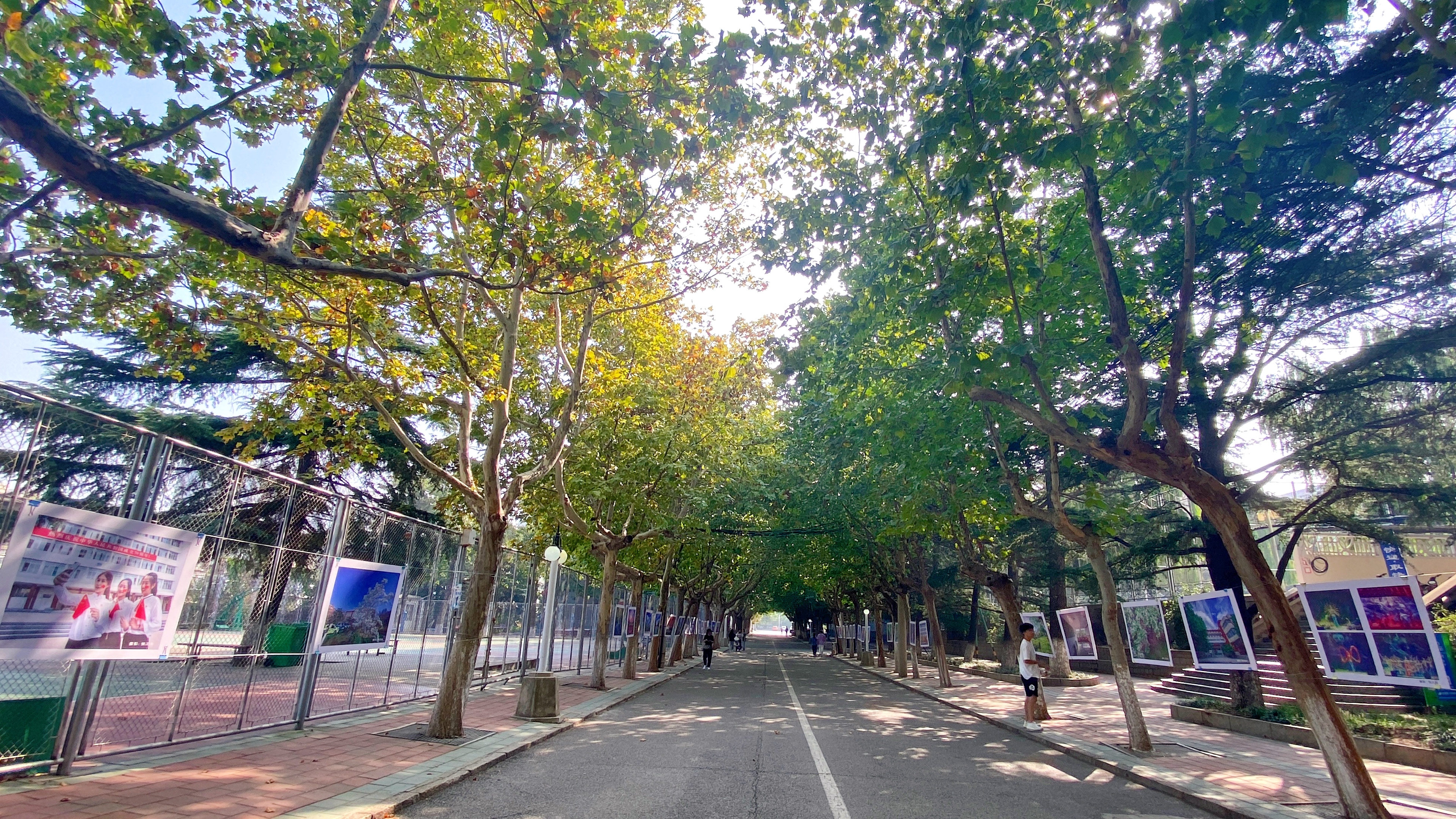 周年】泰安校区举办"七秩光影 情系科大--我与科大的故事"校园摄影展